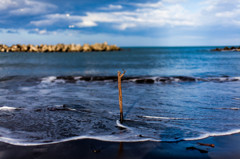 海と流木