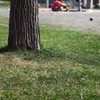 離れる大事さ