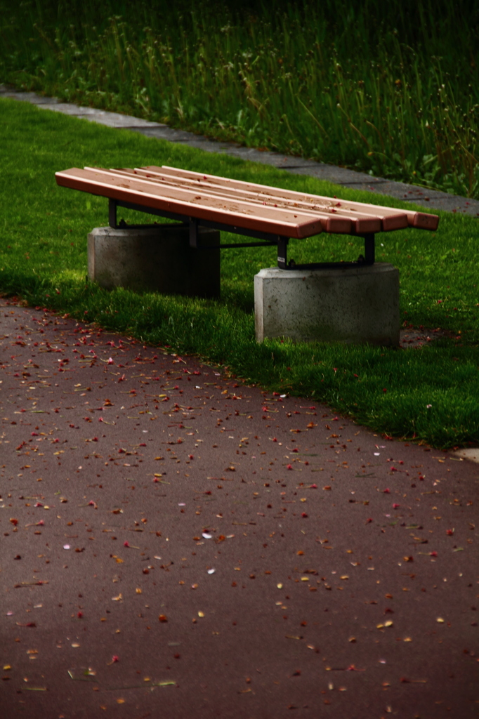 雨上がりのベンチ