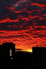夕日