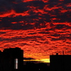 夕日