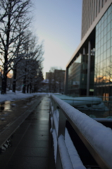 大雪の後