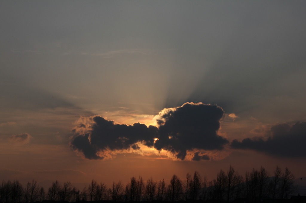 夕日