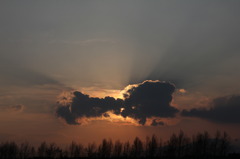 夕日