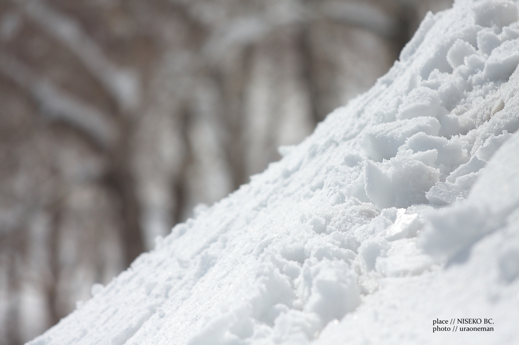 春の雪質。