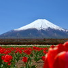 花の都公園