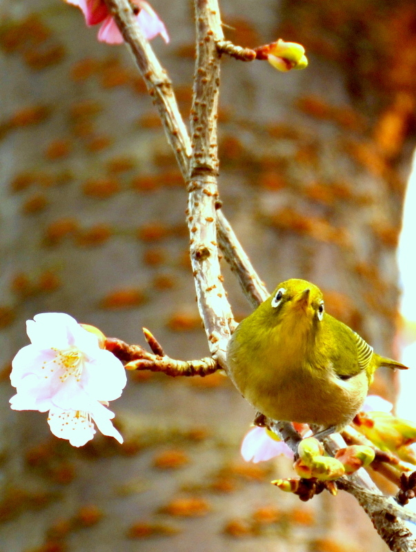 ようこそ～～～♪