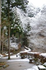 初雪