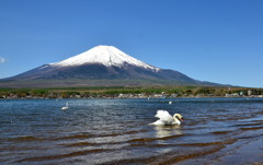 富士山とデート