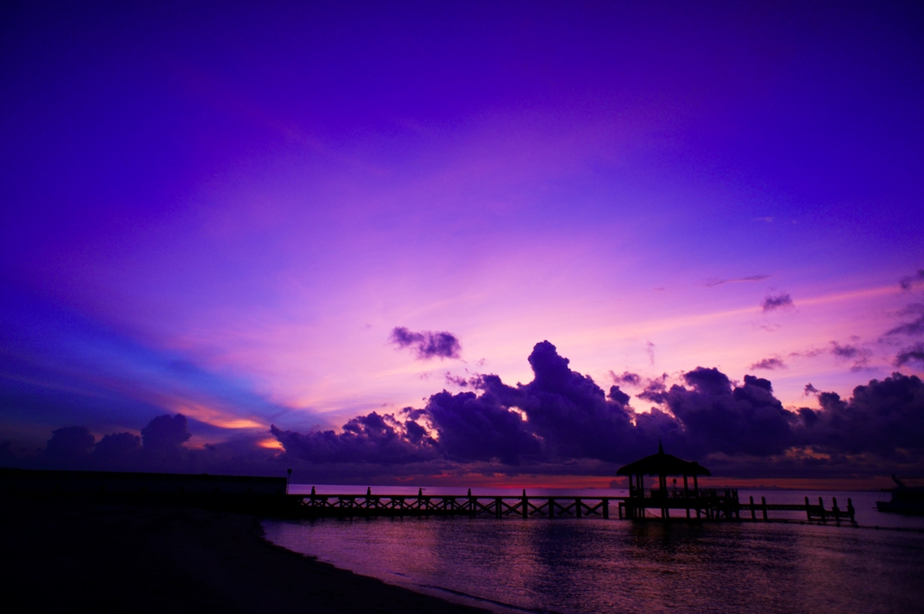 Purple Haze