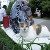 上野のヤンキー