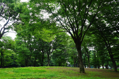 上野の森