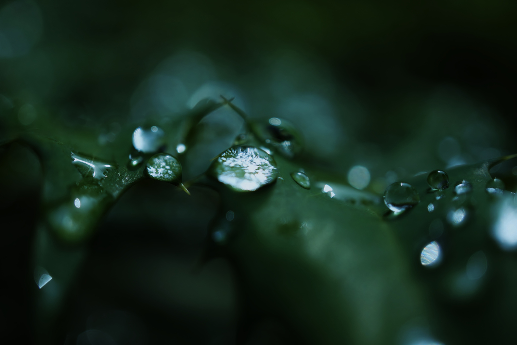 雫　6