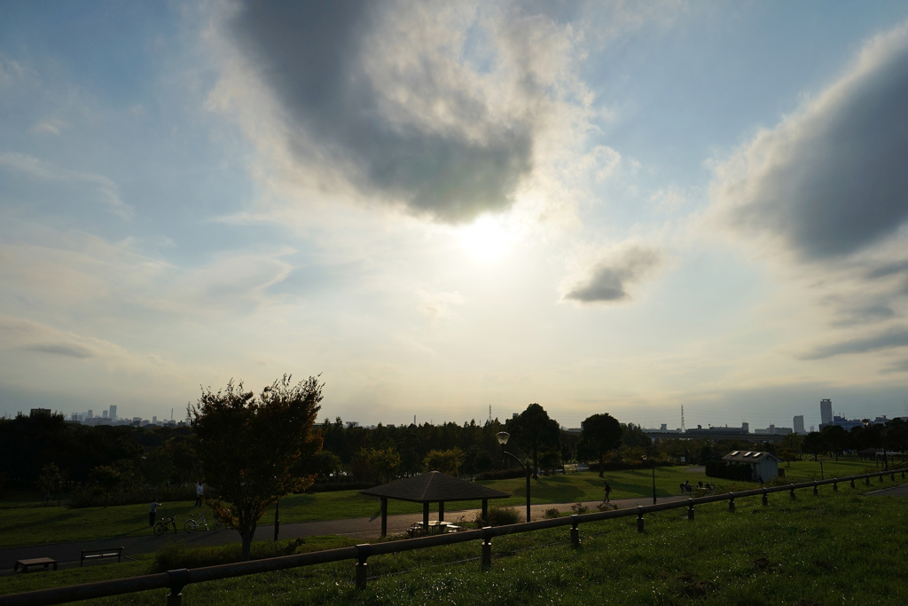 秋の舎人公園　1