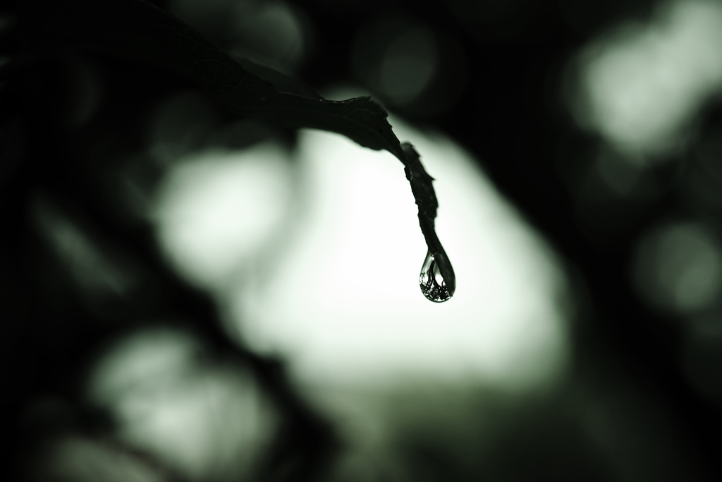 雫　2