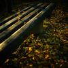 落ち葉とベンチ　2