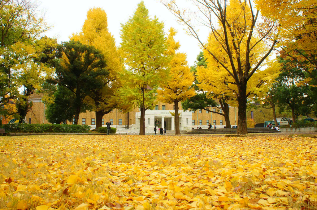 上野公園の秋　2