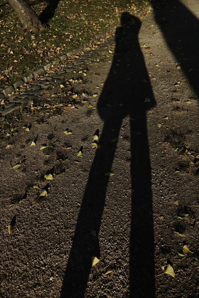 足長シルエット。。