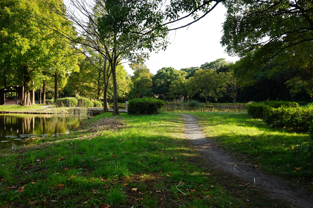 秋の水元公園　2