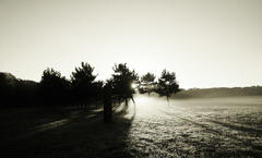 草原の朝　6