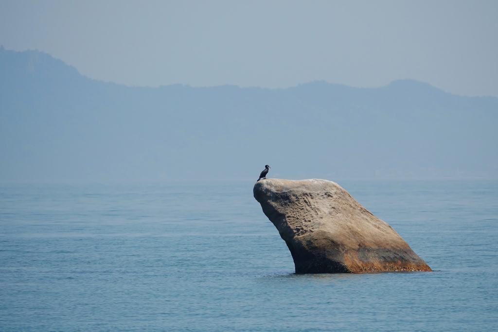 瀬戸内海　5