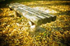 落ち葉とベンチ　1