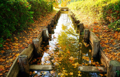 秋の小川