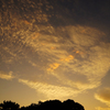 空　6