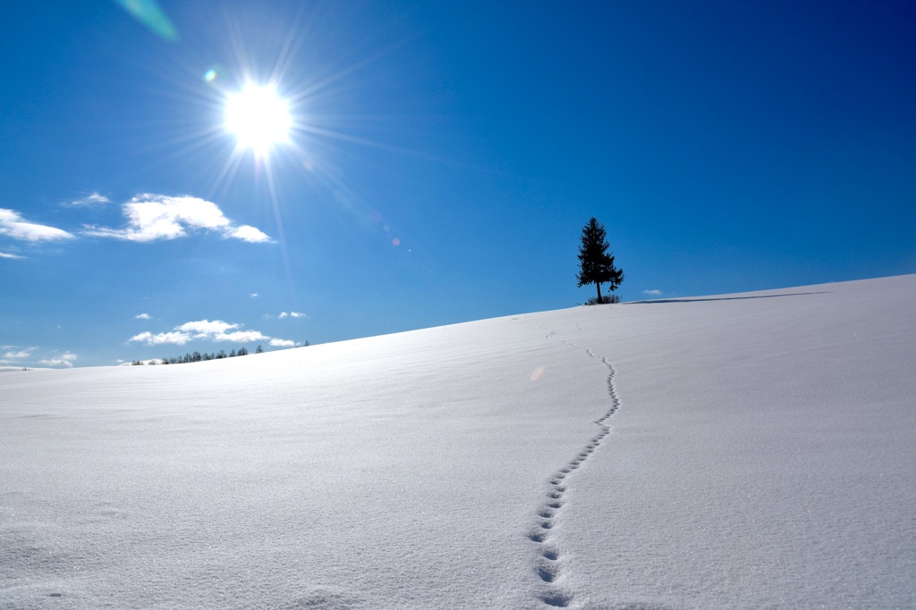 雪原のライン２