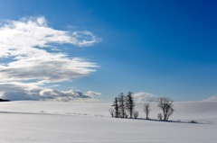 青い空 白い雲 真っ白な雪