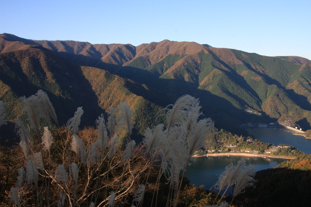 秋の日差し２