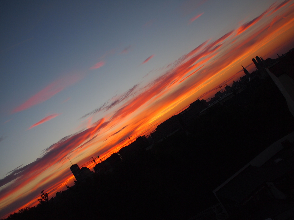 夕日・・
