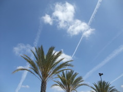 LOS　空と飛行機雲