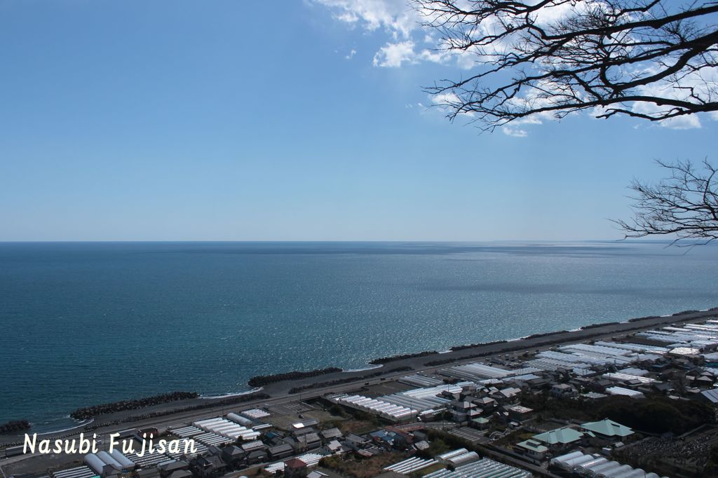 春の久能山東照宮