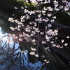 住宅街の芸術