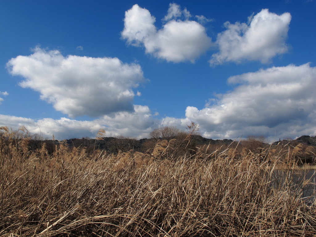 Big clouds @ Asabata Shiuoka