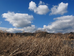 Big clouds @ Asabata Shiuoka