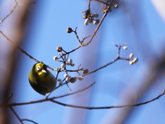 厳しい冬に向かって
