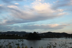 麻機遊水地第4工区