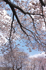 Trying to reach opposite bank