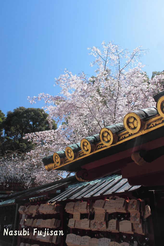 春の久能山東照宮