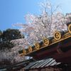 春の久能山東照宮