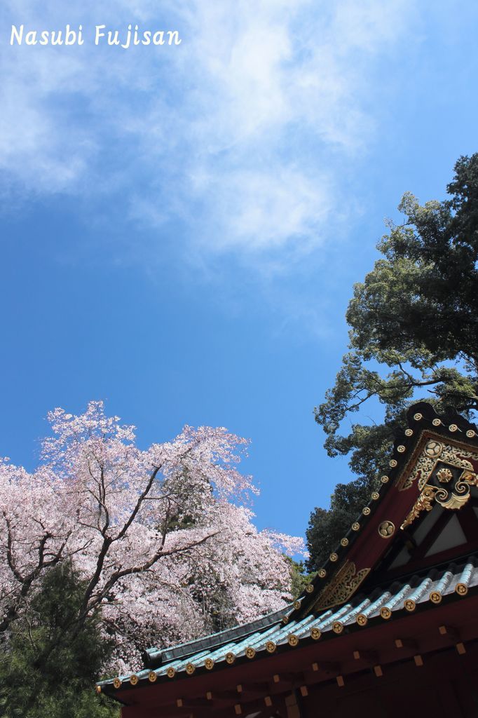 春の久能山東照宮