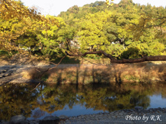 長尾川上流・1