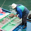 香港西貢漁師