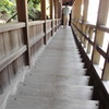 臨済寺一般公開・茶室への階段　下り