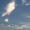 秋空に何思ふ