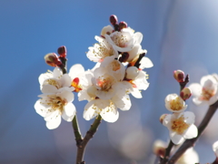 Sun shine in early spring