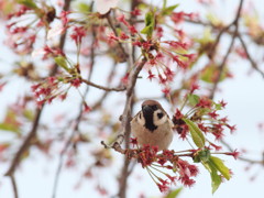 「さて、どこへ行こうか」