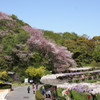 A spring holiday